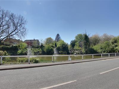 Picture 17